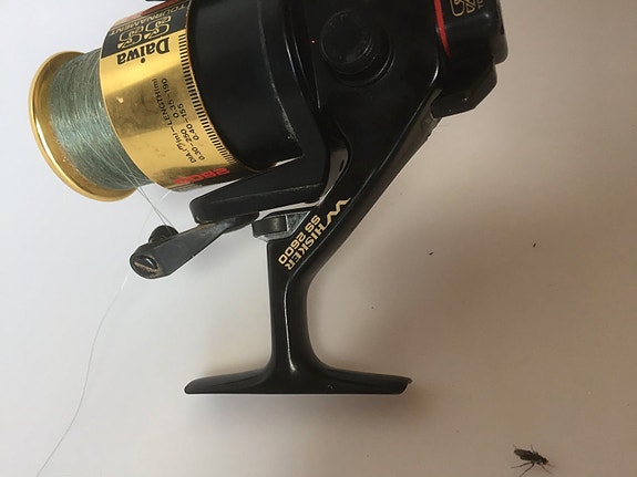 Product image 4 of 8