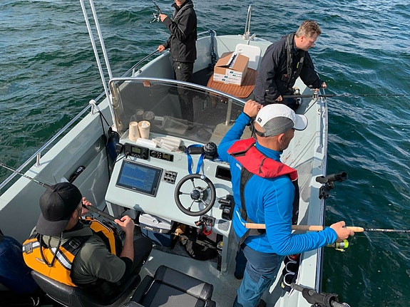Dansk bygget POCA både.Fra 13-25 fod - jolle, styrepultbåd, fiskebåd, fritidsbåd