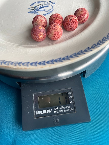 Product image 11 of 16