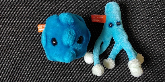 Product image 3 of 10