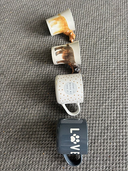 Product image 19 of 19