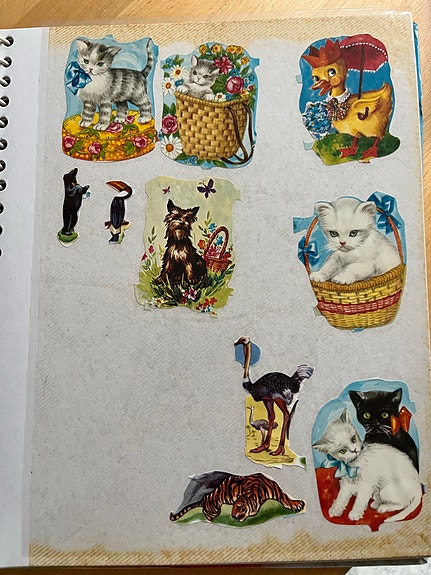 Product image 21 of 23