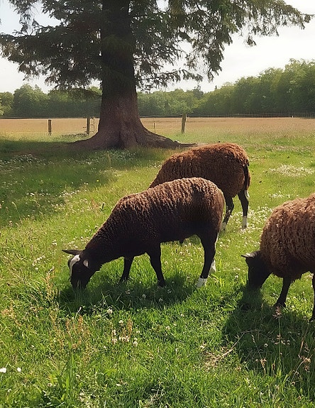 Product image 1 of 10