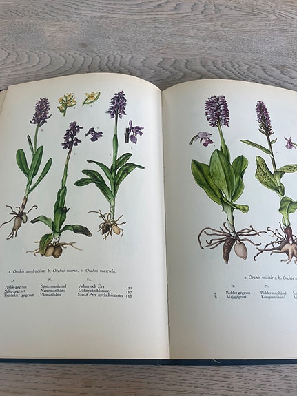 Product image 1 of 10