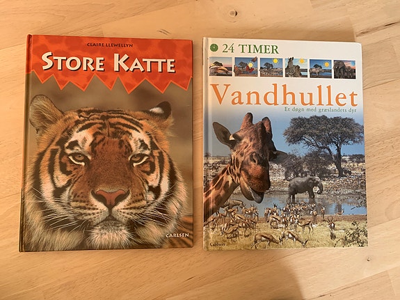 Store Katte og Vandhullet