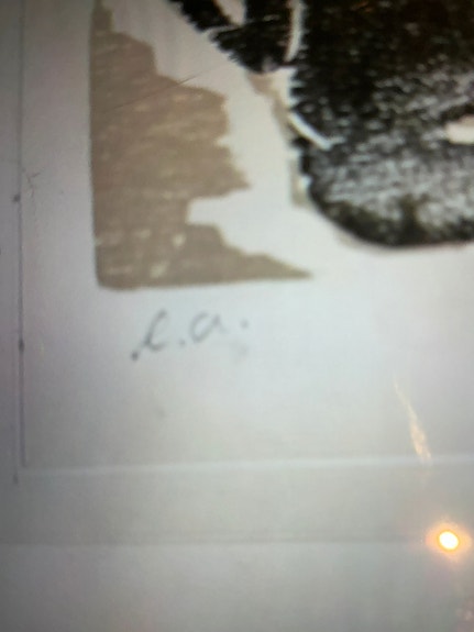Product image 11 of 13