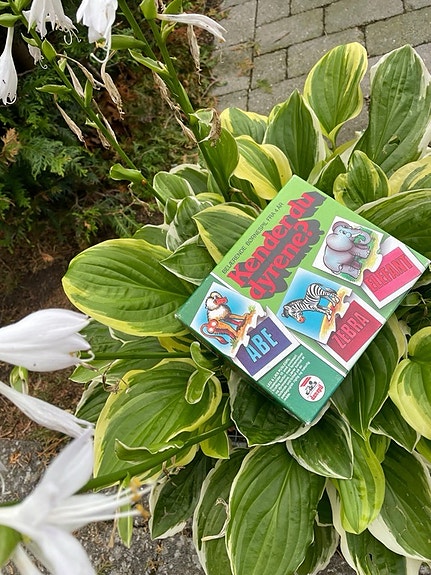 Product image 8 of 10