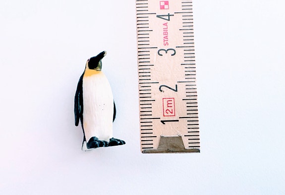 Product image 16 of 17