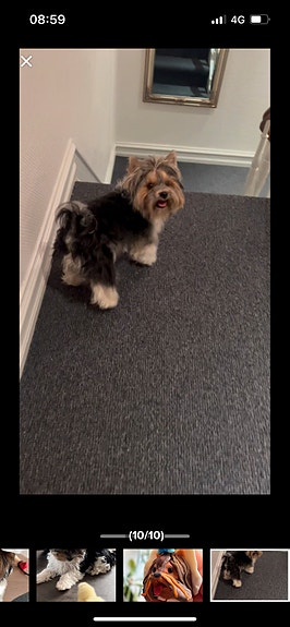 Product image 3 of 10