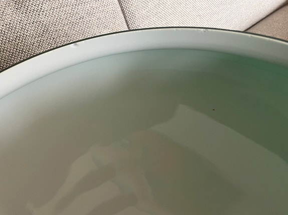 Product image 12 of 13