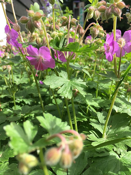 Product image 1 of 9