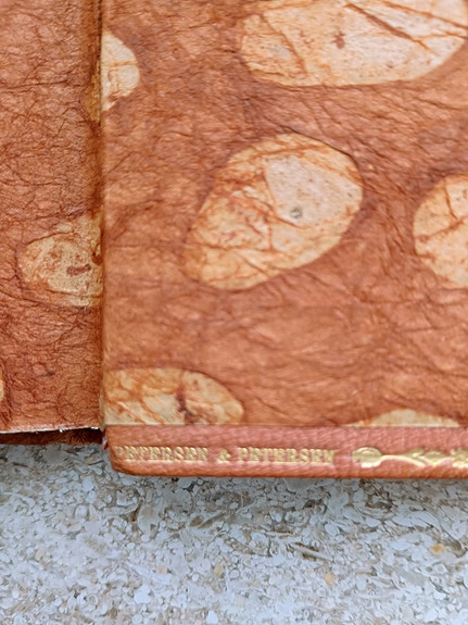 Product image 13 of 13