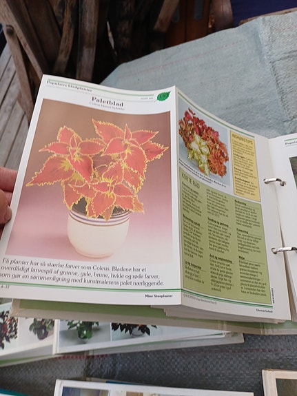 Product image 21 of 36