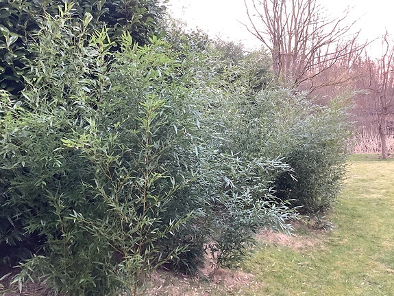 Product image 1 of 10