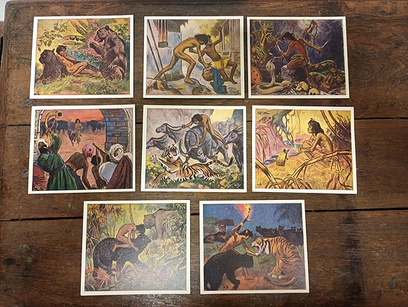 Product image 7 of 10