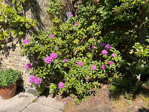 Product image 1 of 5