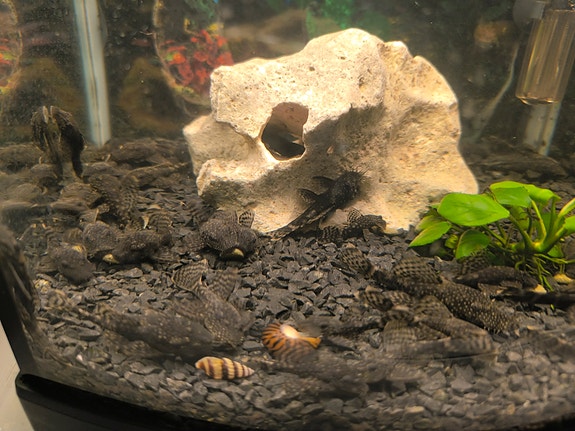 Product image 1 of 4