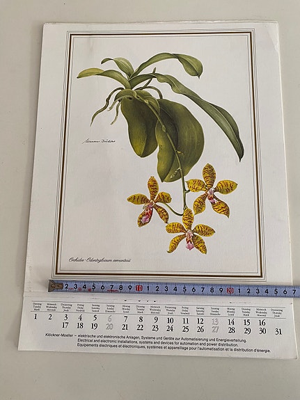 Product image 12 of 13