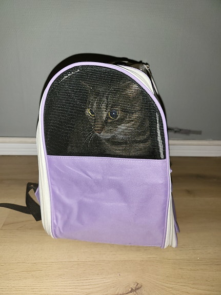Product image 2 of 12