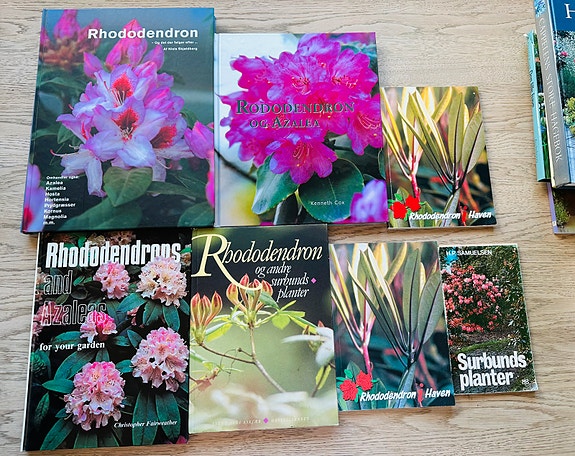 Product image 1 of 8