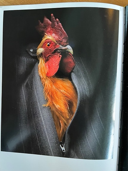 Product image 12 of 15