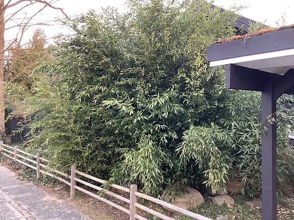 Product image 1 of 10