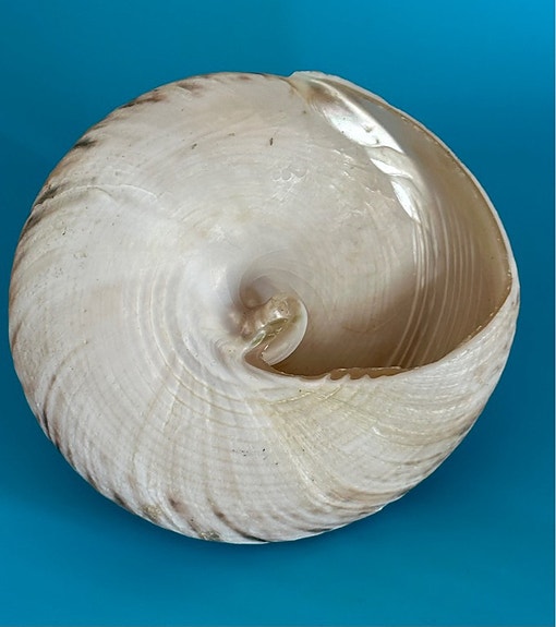 Product image 11 of 12
