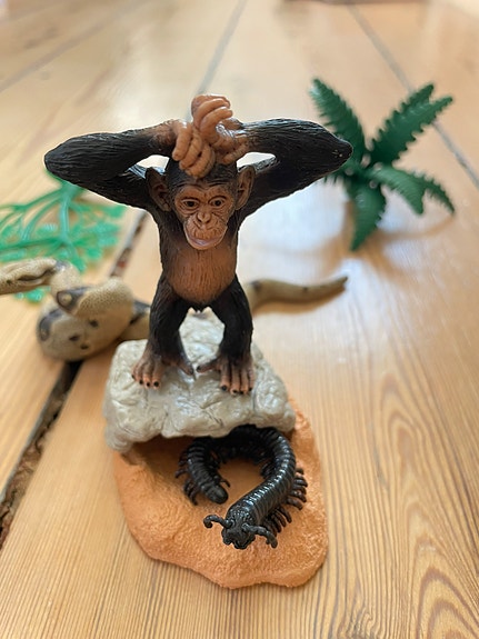 Product image 1 of 6