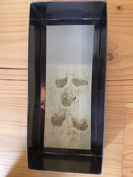 Product image 11 of 33