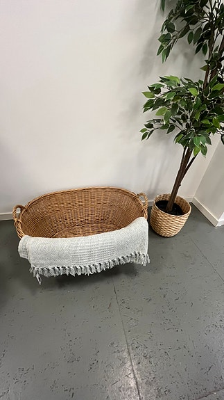 Product image 20 of 31