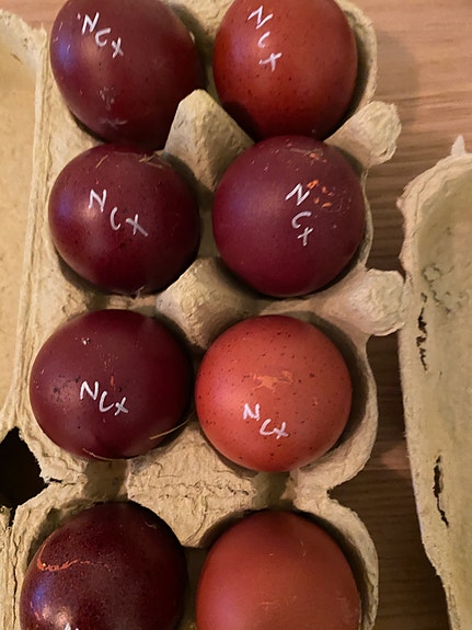 Product image 22 of 25