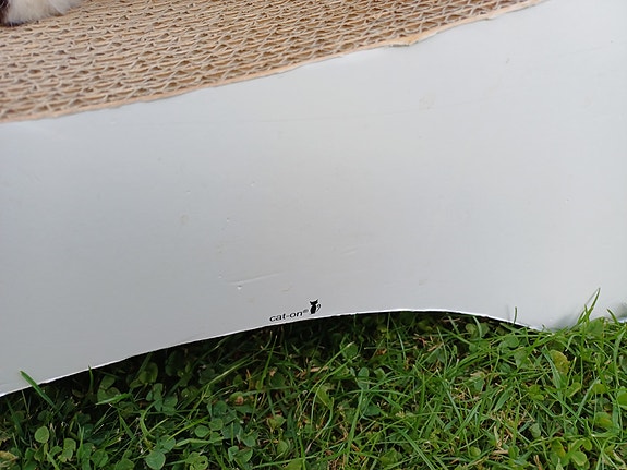 Product image 12 of 19