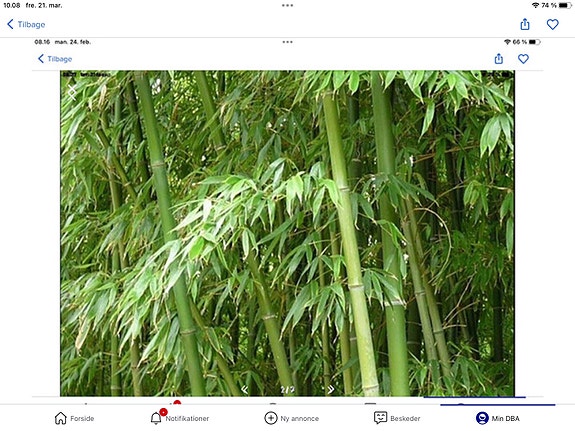 Product image 13 of 16