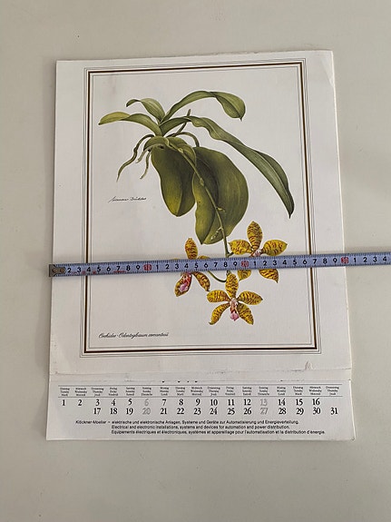 Product image 11 of 13