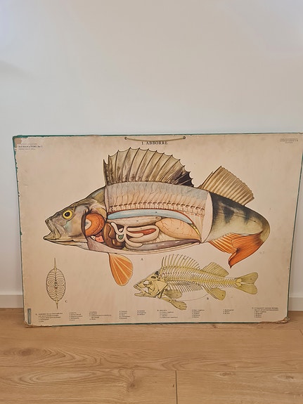 Product image 18 of 18