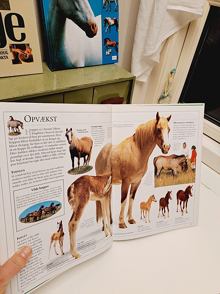 Product image 1 of 10