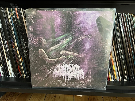 Product image 1 of 10