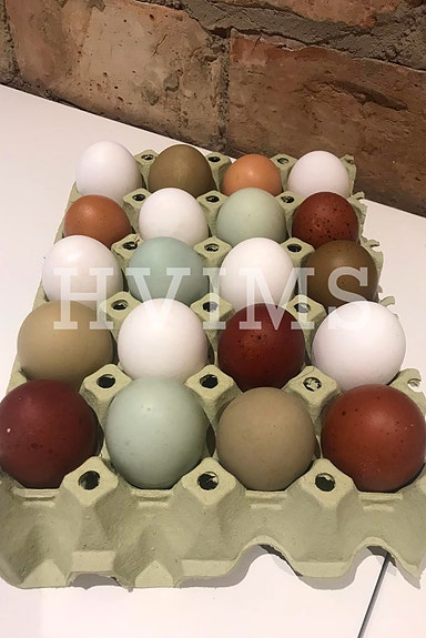 Product image 11 of 13