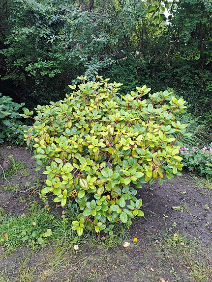 Product image 1 of 8