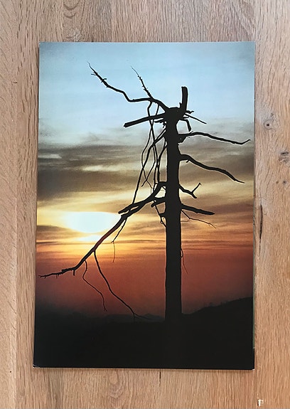 Product image 11 of 19