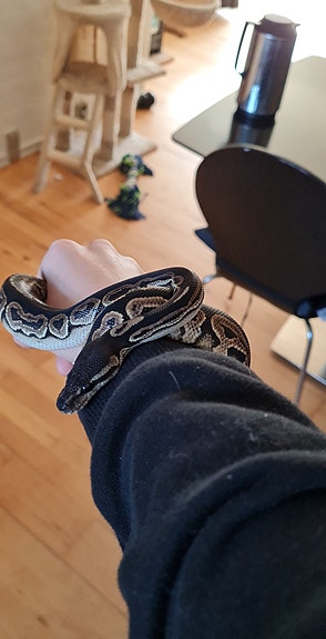 Product image 4 of 9