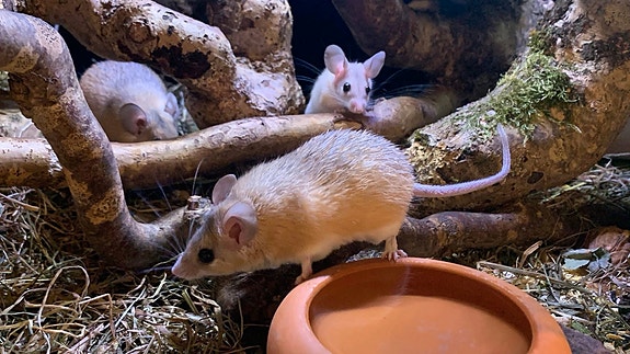 Product image 1 of 10