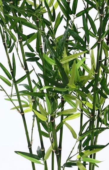 Product image 14 of 15