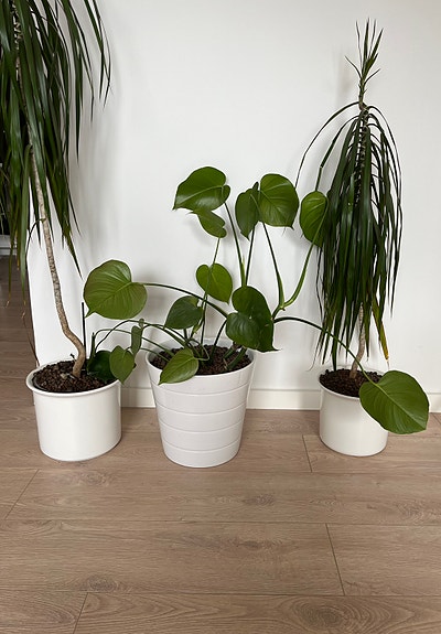 Product image 16 of 16