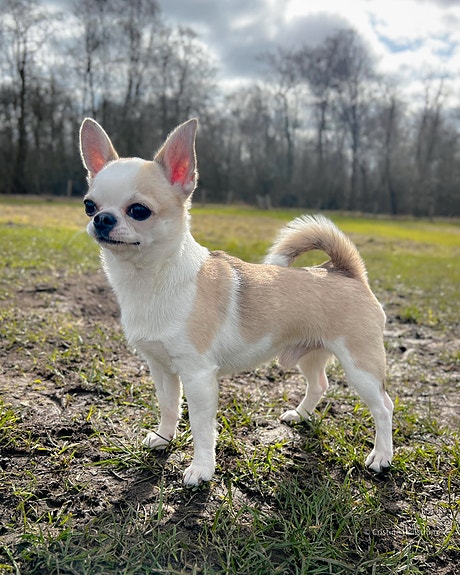 Product image 1 of 10