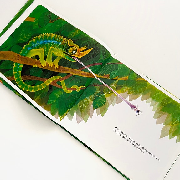 Product image 16 of 16
