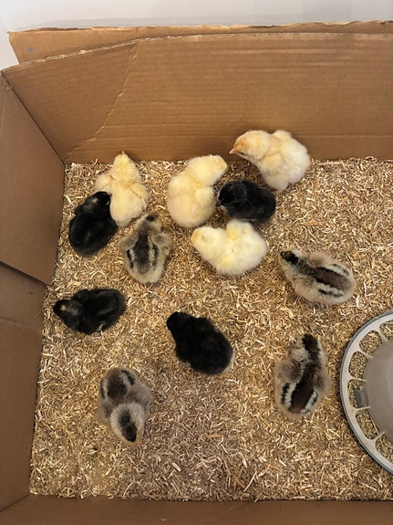 Product image 4 of 9