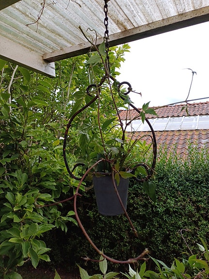 Product image 1 of 10