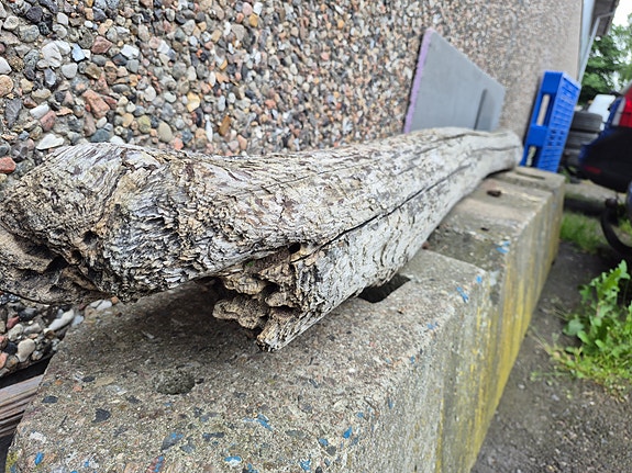 Product image 1 of 7