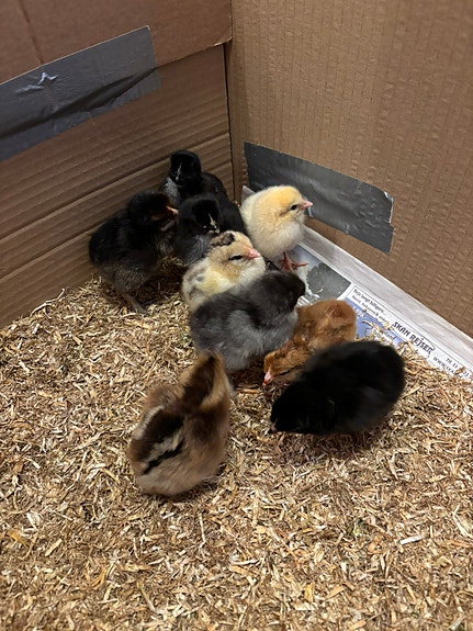 Product image 3 of 9